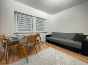 2 Rooms Apartment in Stuttgart Obertürkheim